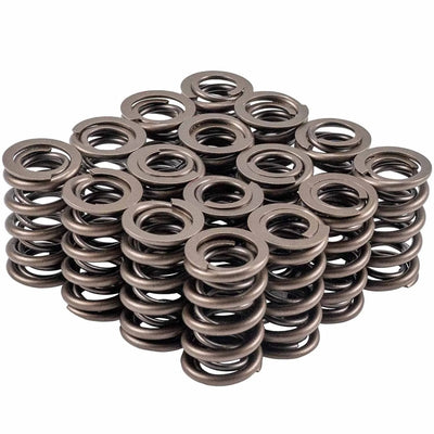 VALVE SPRING SET