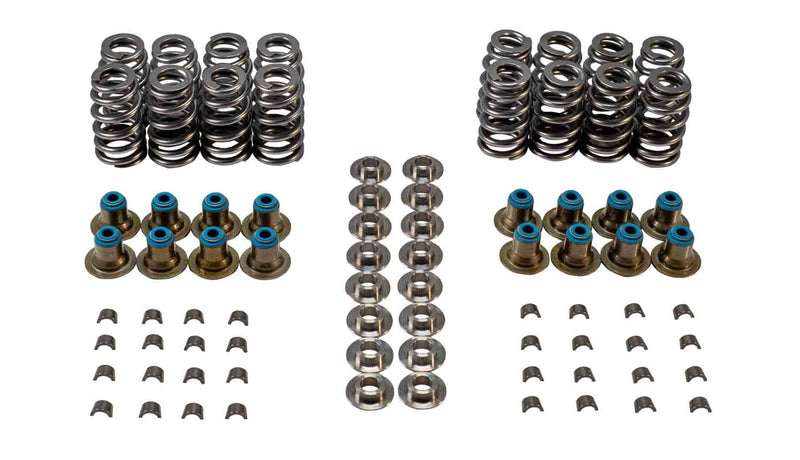 VALVE SPRING KIT