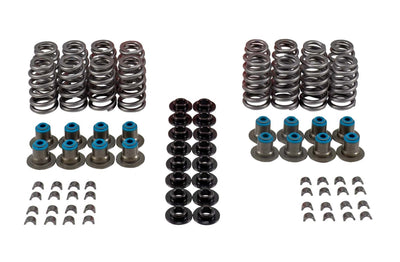 VALVE SPRING KIT