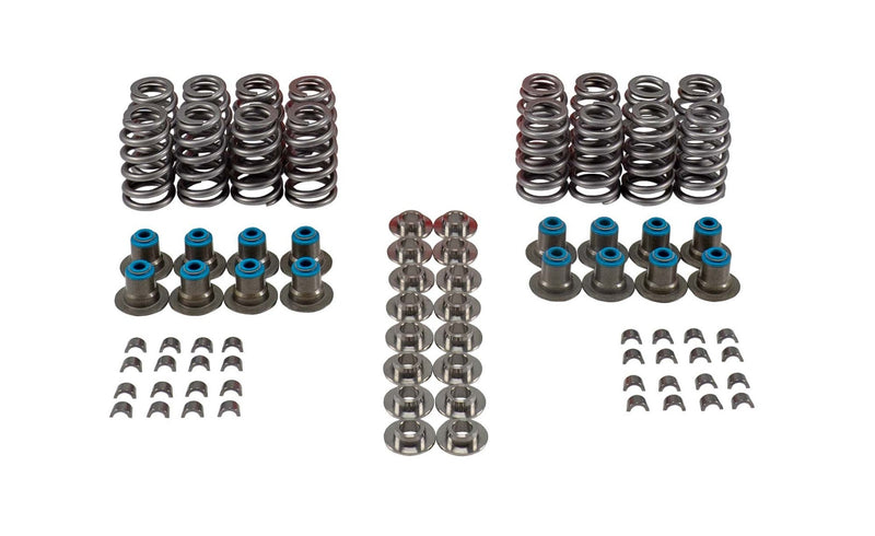 Valve Spring Kit - VSK46652T