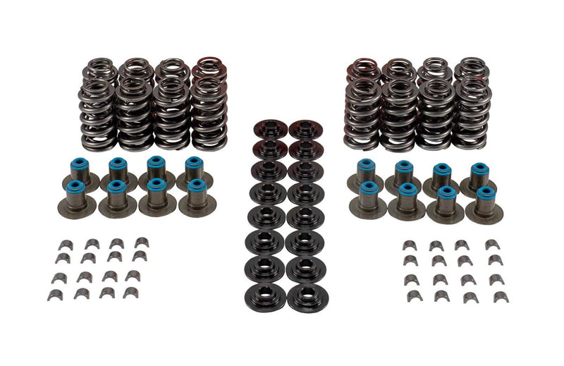 VALVE SPRING KIT