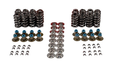 VALVE SPRING KIT