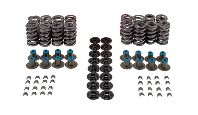 VALVE SPRING KIT