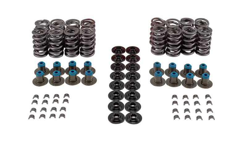 VALVE SPRING KIT