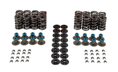 VALVE SPRING KIT