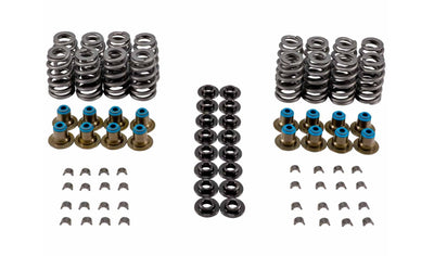 VALVE SPRING KIT