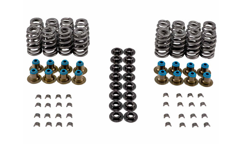 VALVE SPRING KIT