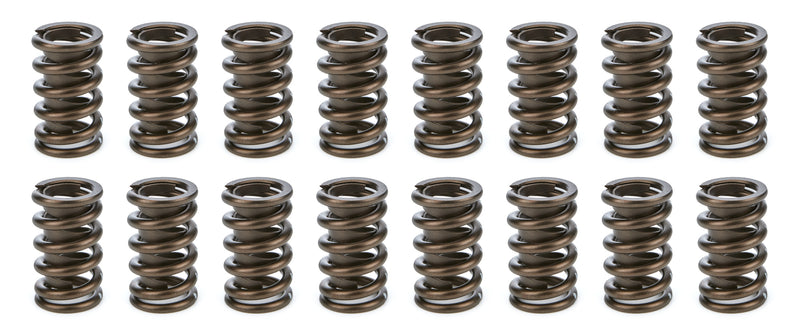 1.260 Valve Springs  w/ Damper (16)
