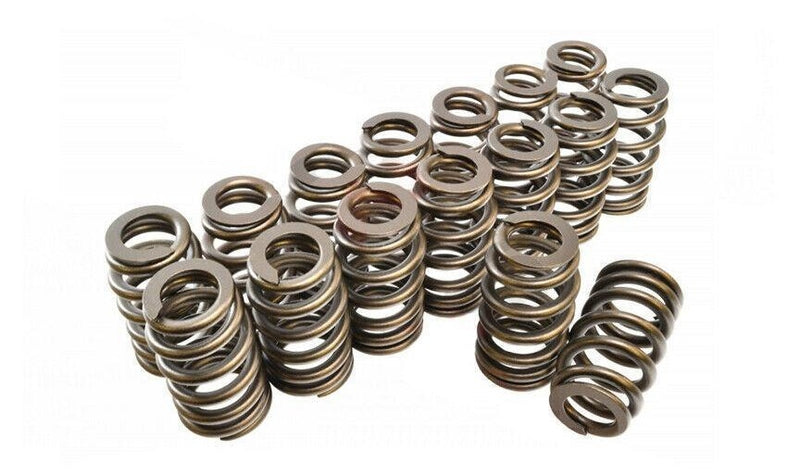 1.307 Valve Springs - Ovate Beehive (16) - PAC121916