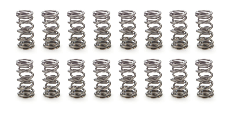 1.106 Dual Valve Springs 1300 Series (16)