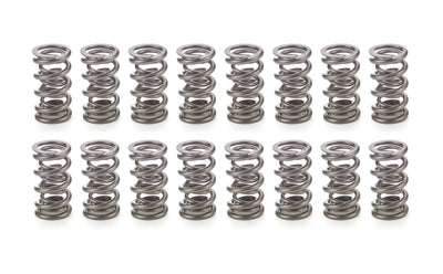 Valve Spring- Set - PAC133316