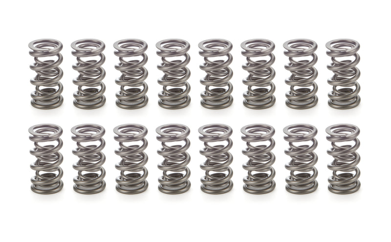 Valve Spring- Set - PAC133316