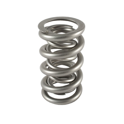 1.300 Dual Valve Spring (1) - PAC1335