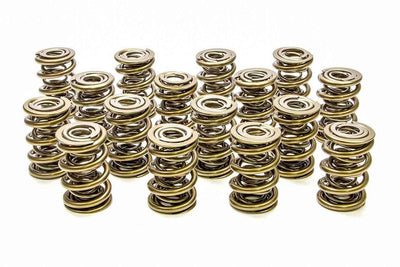 1.645 Triple Valve Springs (16) - PAC134716