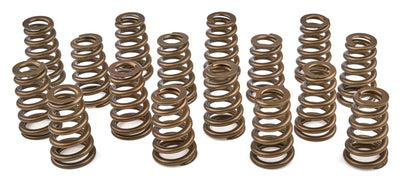 Valve Spring- Set - PAC1427H16