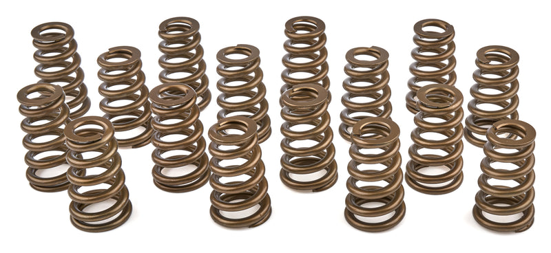 Valve Spring- Set - PAC1427H16