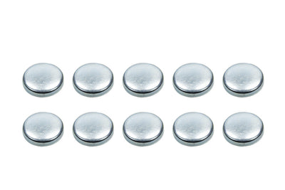 Expansion Plugs - 2-1/2 (10)