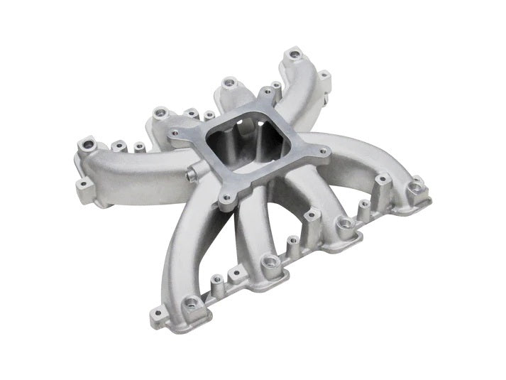 LS1/LS2/LS6 Hurricane EFI Multi-Port Manifold