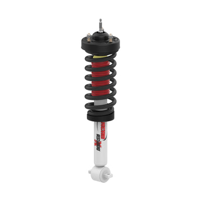 STRUT ASSEMBLY