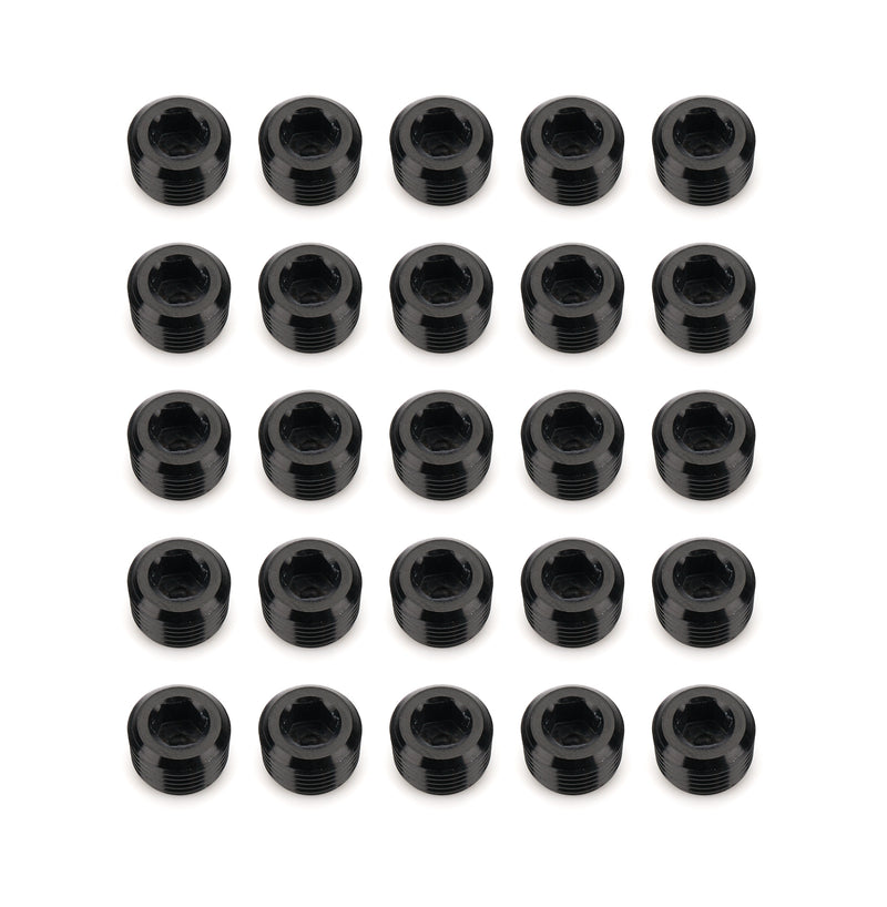 1/8in NPT Socket Head Pipe Plug 25/pkg Black