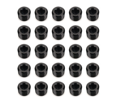 1/4in NPT Socket Head Pipe Plug 25/pkg Black