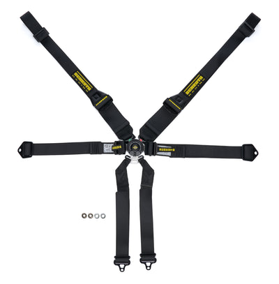 Harness 6pt Profi II SFI Hans Black