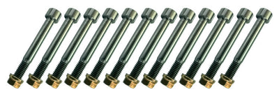 Nerf Bar Bolt Kit Titanium - SCBN3500