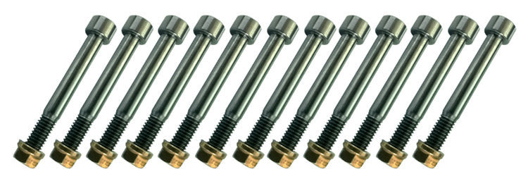 Nerf Bar Bolt Kit Titanium - SCBN3500