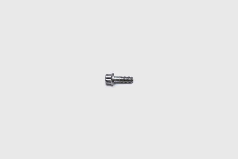 Bolt 1/4-20 X .75IN 12PT Stainless - 2308037