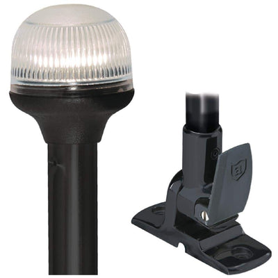 Asm-lt Fd/a Hz Ag Ar 12' - 5358P127