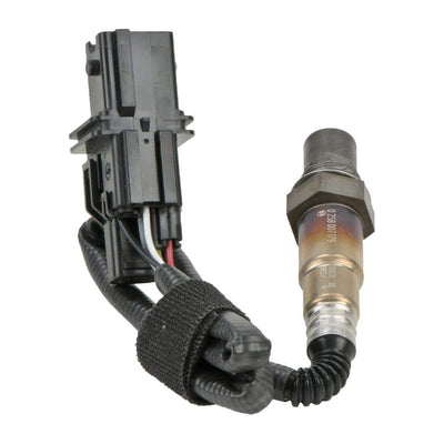 Ig Oxygen Sensor - 17179