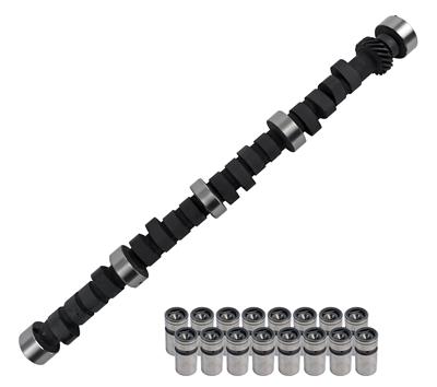 CAM AND LIFTER KIT
