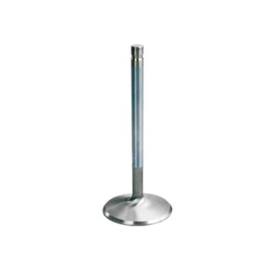 SET OF 8 EXHAUST VALVES