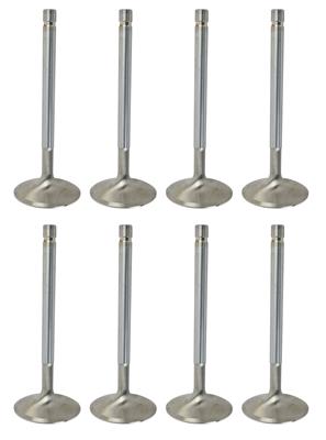 INTAKE VALVES 8