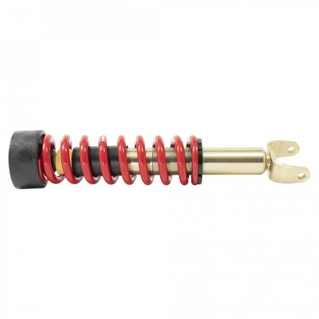 Coilover Kit - 15205