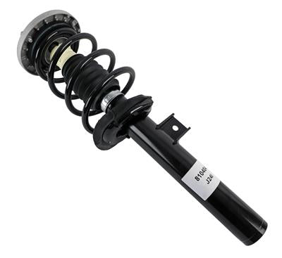 LOADED STRUT