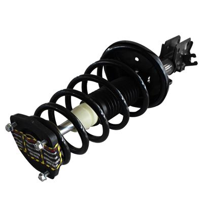 LOADED STRUT