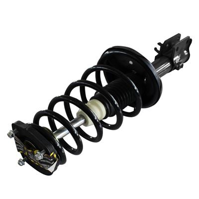LOADED STRUT