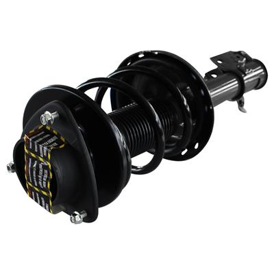 LOADED STRUT