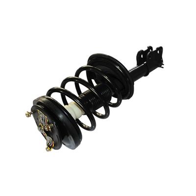 LOADED STRUT