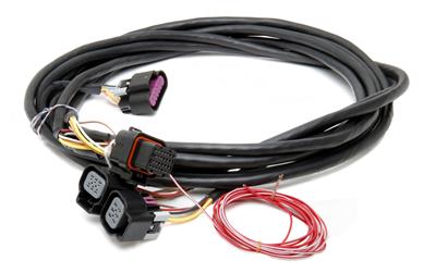 FUEL INJECTION WIRE HARNESS