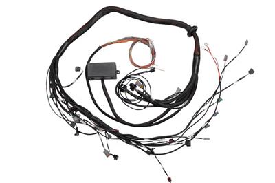 ECM WIRING HARNESS