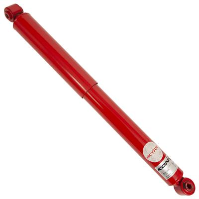 SHOCKS AND STRUTS