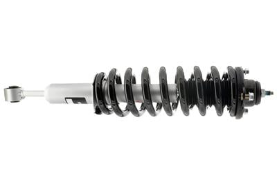 SHOCKS AND STRUTS