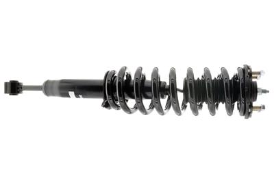SHOCKS AND STRUTS