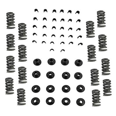 VALVE SPRING KIT