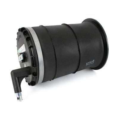 NEW REAR LT AIR SPRING