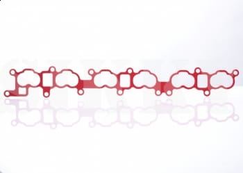 Intake Manifold Gasket - TN019
