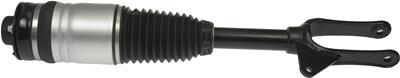 AIR STRUT