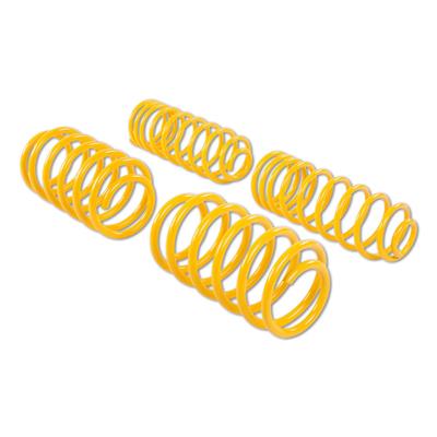 LOWERING SPRINGS